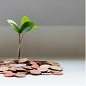 Pricing & Revenue Optimization